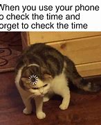 Image result for Cat Thinking Meme Loading