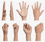 Image result for Photos of Ladies Right Hand