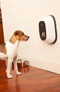 Image result for Pet Gadgets