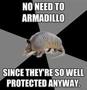 Image result for Armadillo Meme