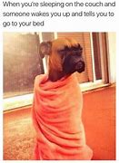 Image result for 5 Funny Memes