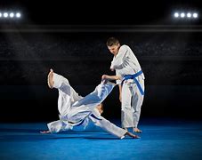 Image result for Judo Game