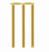 Image result for Cricket Outline