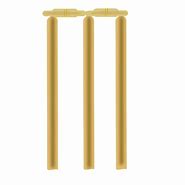 Image result for Cricket Bat Stickers without Black Colur