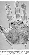 Image result for Fingerprint Science