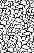 Image result for Black and White Cell Shaded