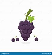 Image result for Grape Illustration