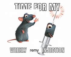 Image result for Rat Memes. Love