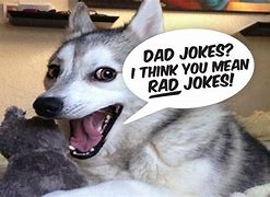 Image result for Best Dad Jokes for Work