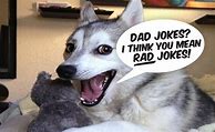 Image result for Dad Joke Memes Animals