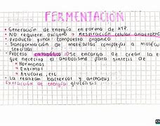 Image result for fermentaci�n