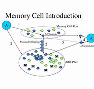 Image result for Concept of Memory Cells
