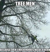 Image result for Arborist Memes