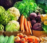 Image result for Natural Health Food Store