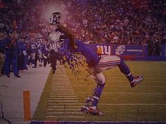 Image result for NFL Funny Moments