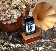 Image result for Gramófono iPhone 3D Print