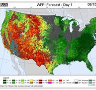 Image result for Wildland Fire Fire Wiral