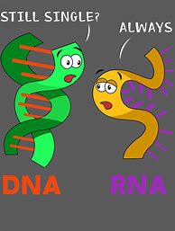 Image result for Funny DNA Cartoons