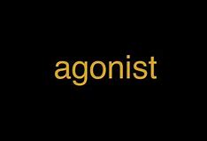 Image result for agonistq