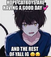 Image result for Cat Boy Meme Anime