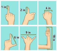 Image result for How to Measure 6 Inches without a Ruler