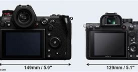 Image result for S1R vs Sony A7iv