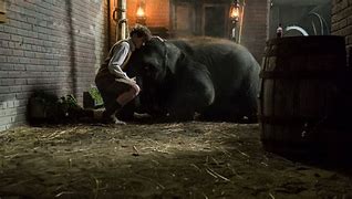 Image result for co_to_znaczy_zoo_film