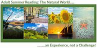 Image result for Summer Reading for Adults