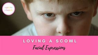 Image result for Example of Scowl