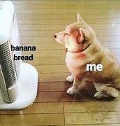 Image result for Banana Bread Cat Meme