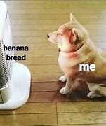 Image result for Banana Bread Joke