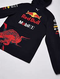 Image result for Red Bull Hoodie