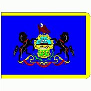 Image result for Pennsylvania State Flag Colors