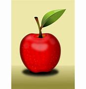 Image result for Apple Shadow PNG