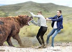 Image result for Standing Grizzly Bear Attack