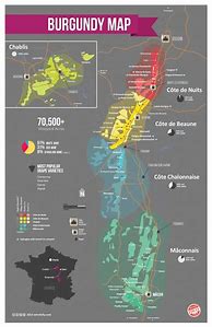 Image result for Burgundy Wine Region