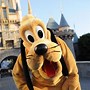 Image result for Dogs of Disney