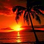 Image result for Sunset Phone Wallpaper