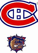 Image result for Montreal Canadiens Toilet Seat