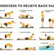 Image result for Physiotherapy for Lower Back Pain Reliefe Pictures