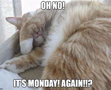 Image result for OH No It's Monday Again