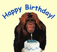 Image result for Birthday Monkey Images