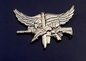 Image result for Swat Eagle