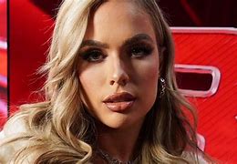 Image result for WWE Ring Fight