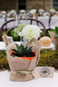 Image result for House Plant Wedding Favors