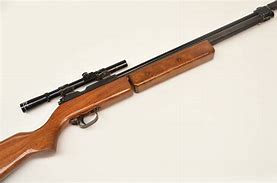 Image result for Sharp Air Rifle