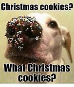 Image result for Christmas Cookie Meme
