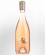 Image result for Rose Pinot Nior