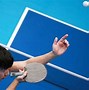 Image result for Donic Table Tennis Racket