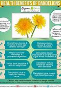 Image result for Dandelion Root Health Benefits